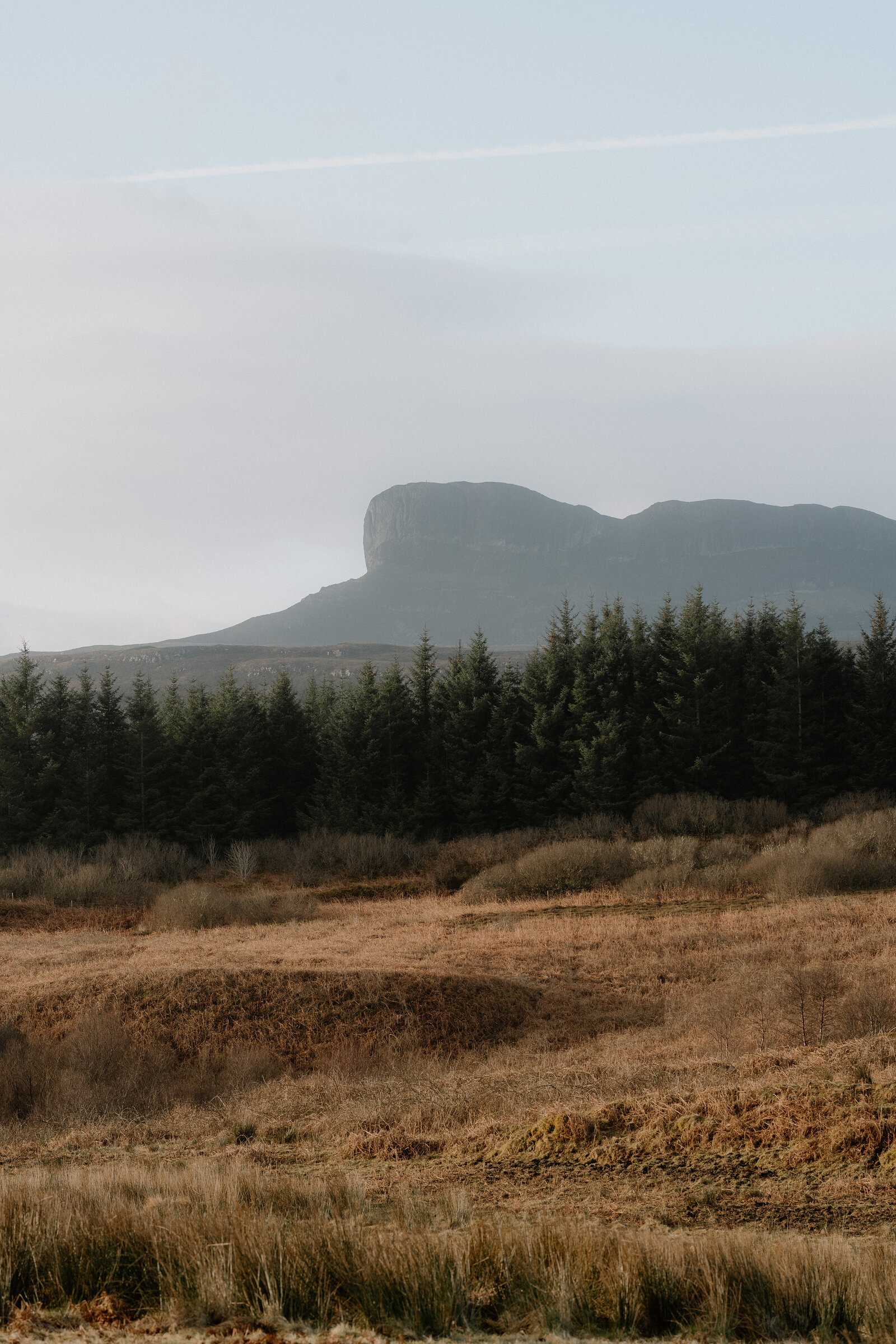 A jagged rocky peak rising above a line of conifers, moorland stretching into the foreground