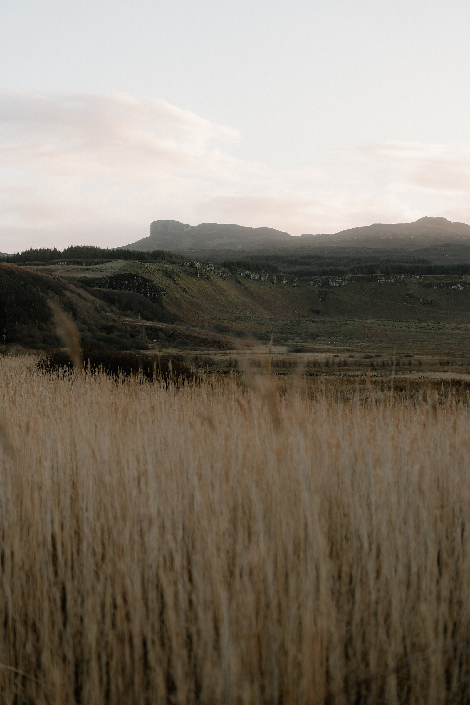 A field of golden grass leading towards distant hills at dusk