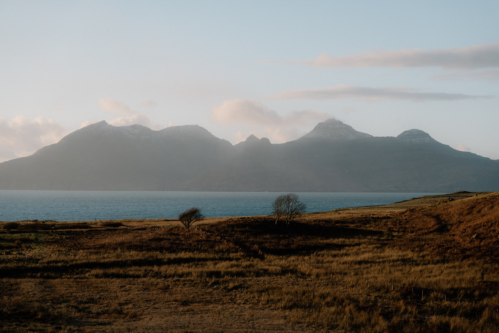 Layered mountains rising behind a calm sea loch, a lone tree standing on the moorland shore