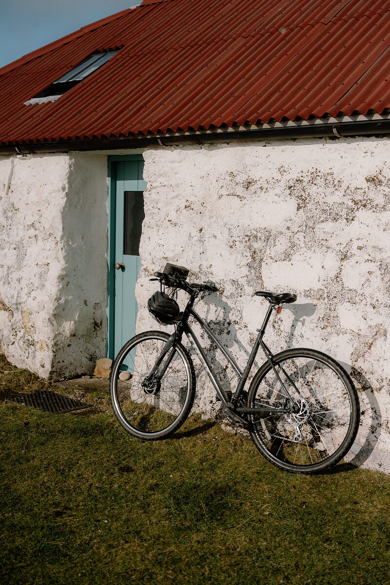 A wildlife cruise from Mallaig
