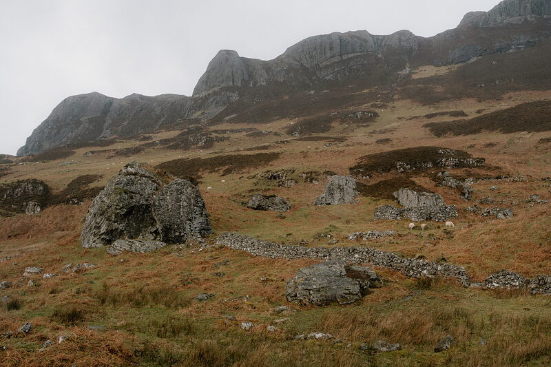 Sheep graze a rocky moorland below layered cliffs on Eigg.