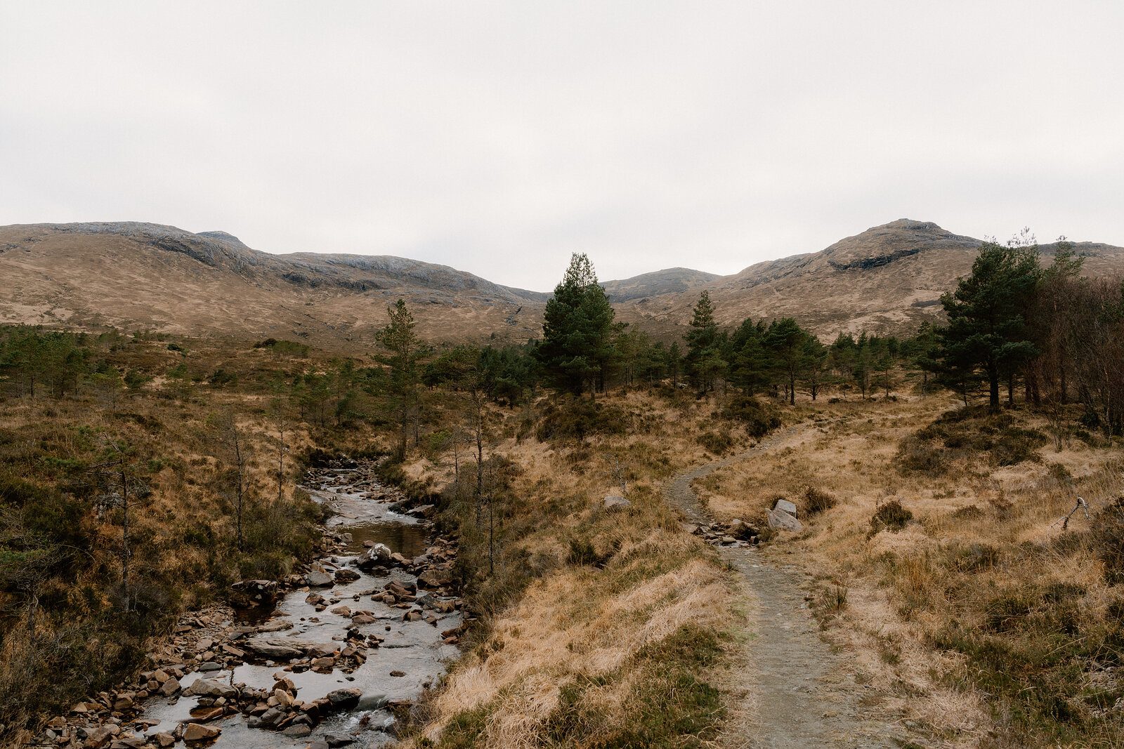 A path follows a burn through pine trees and moorland on the Isle of Rum.
