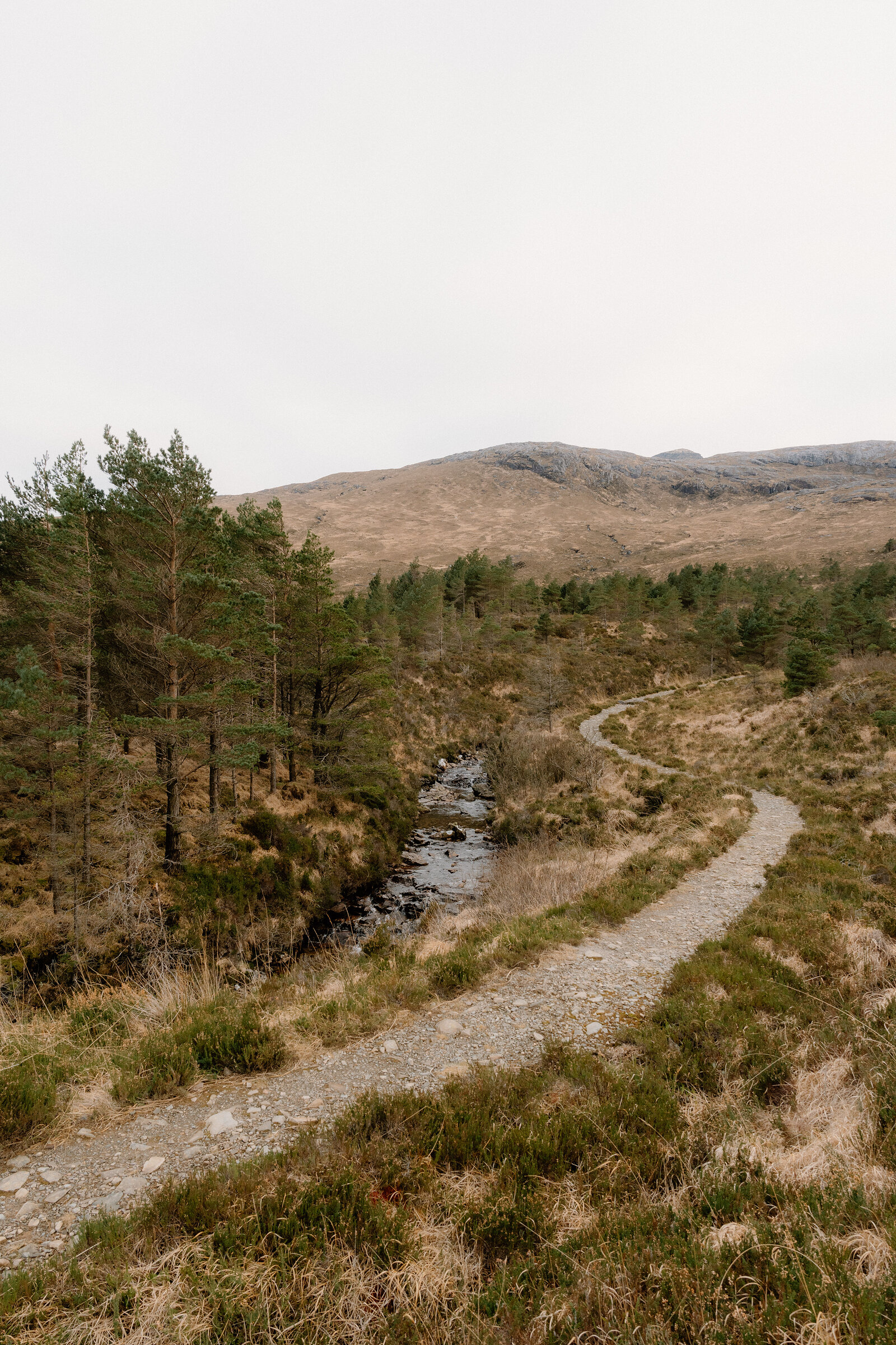 A path curves past pine trees and a burn toward open moorland on the Isle of Rum.