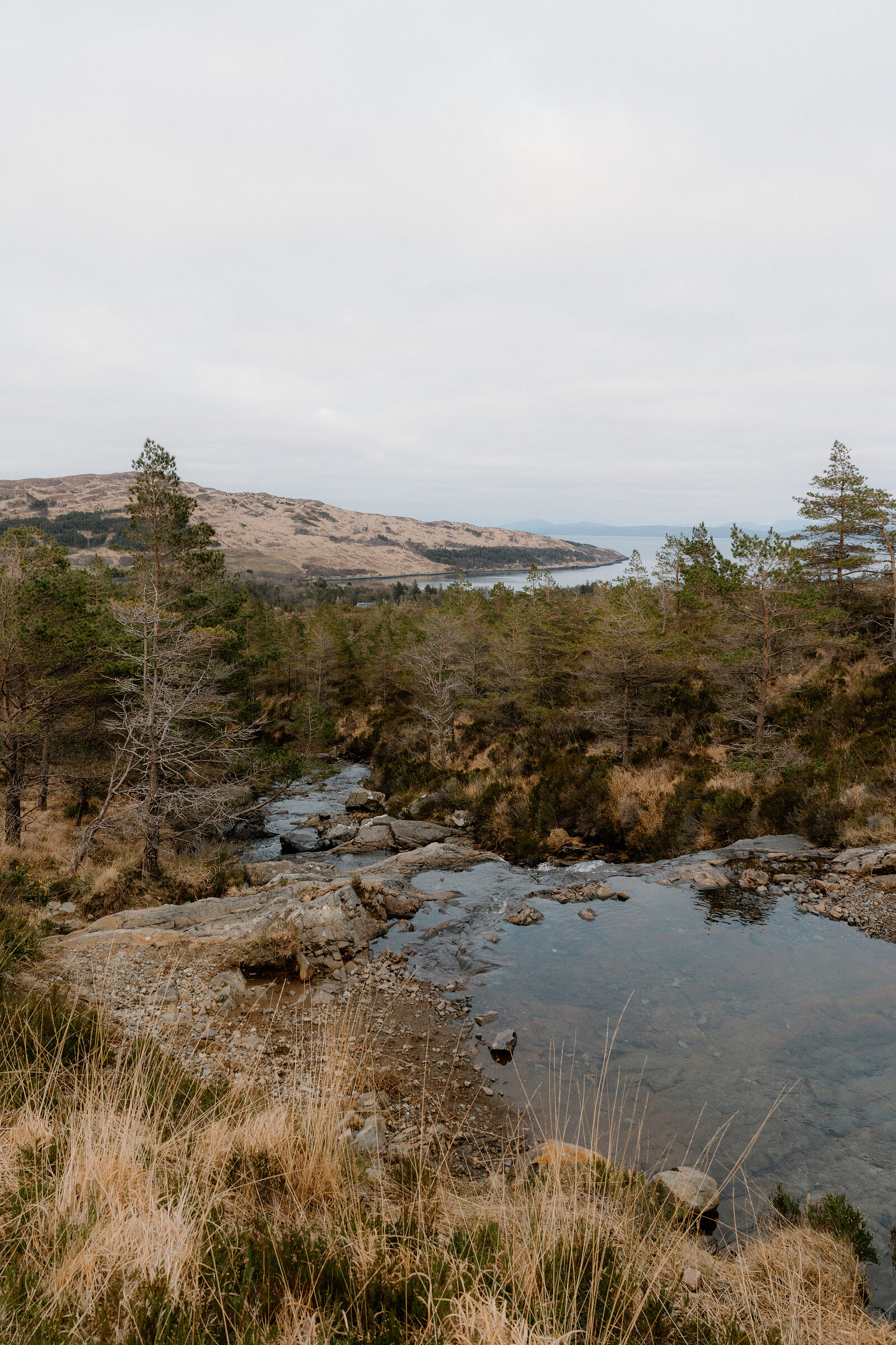 A burn winds through pine trees toward a distant loch on the Isle of Rum.