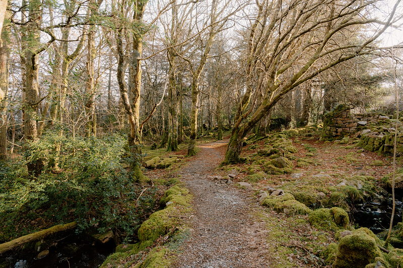 The otter hide walk on Rum, a winter day trip from Mallaig