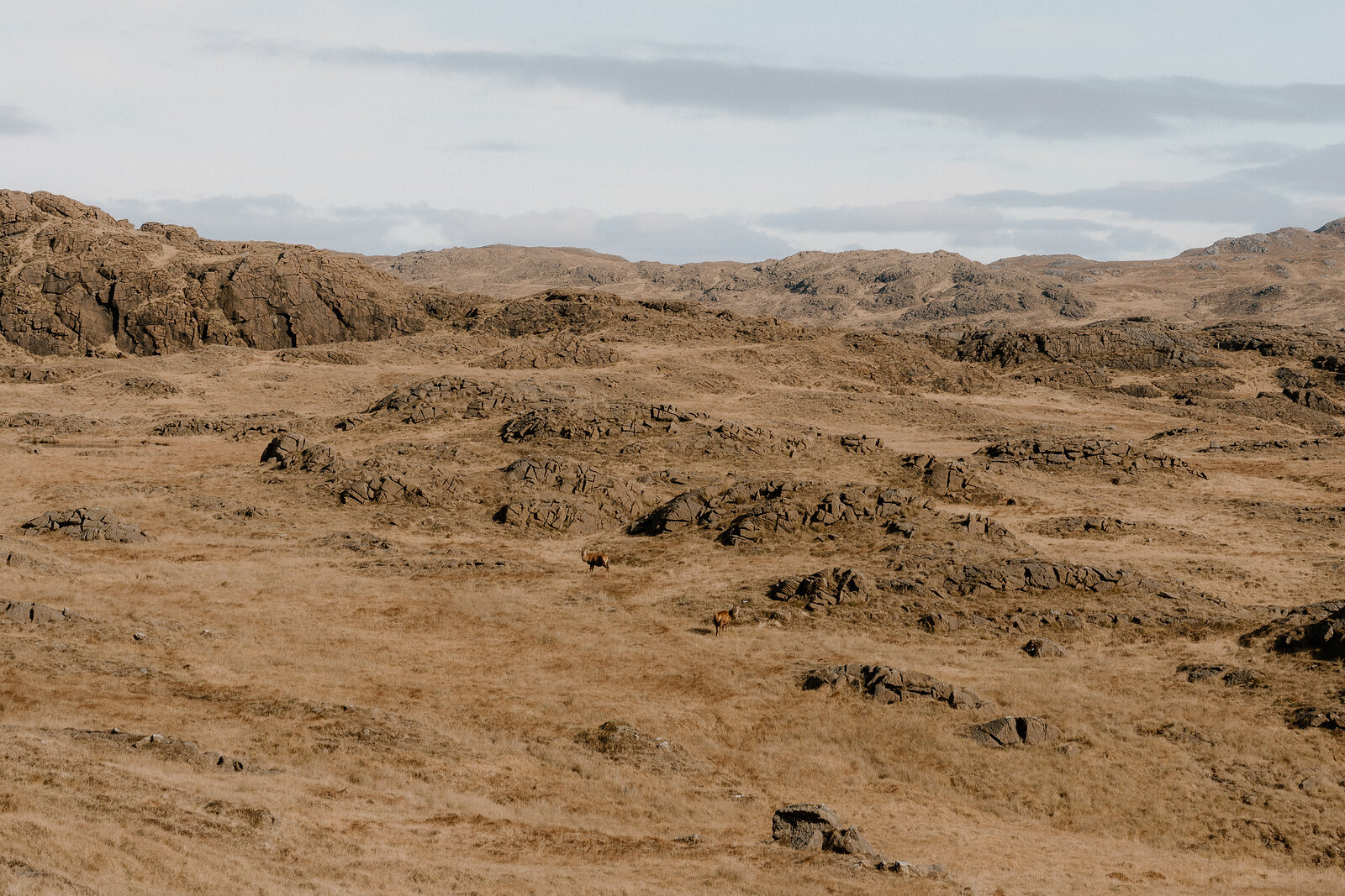 Weathered rocky moorland stretches beneath a pale sky on the Isle of Rum.