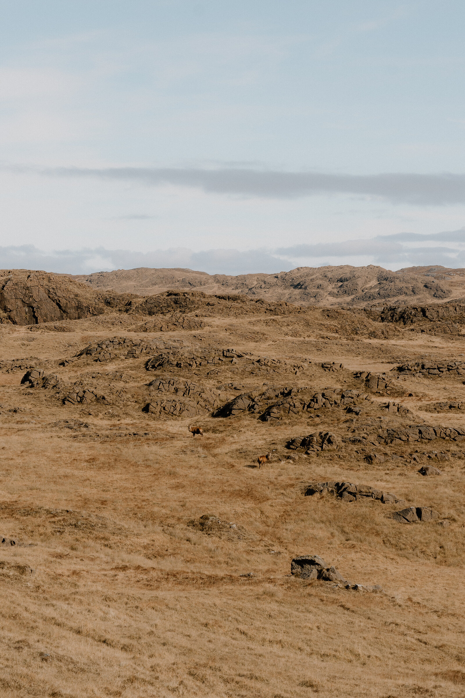 Rocky moorland stretches toward distant hills beneath a pale sky on the Isle of Rum.