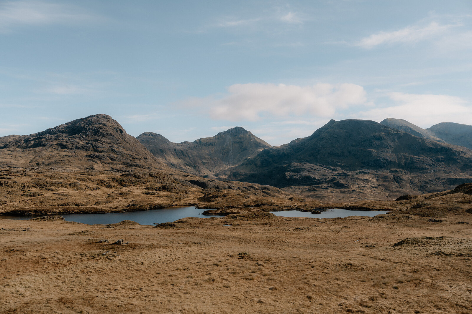 Deer graze a hillside above a rocky coastline on the Isle of Rum.