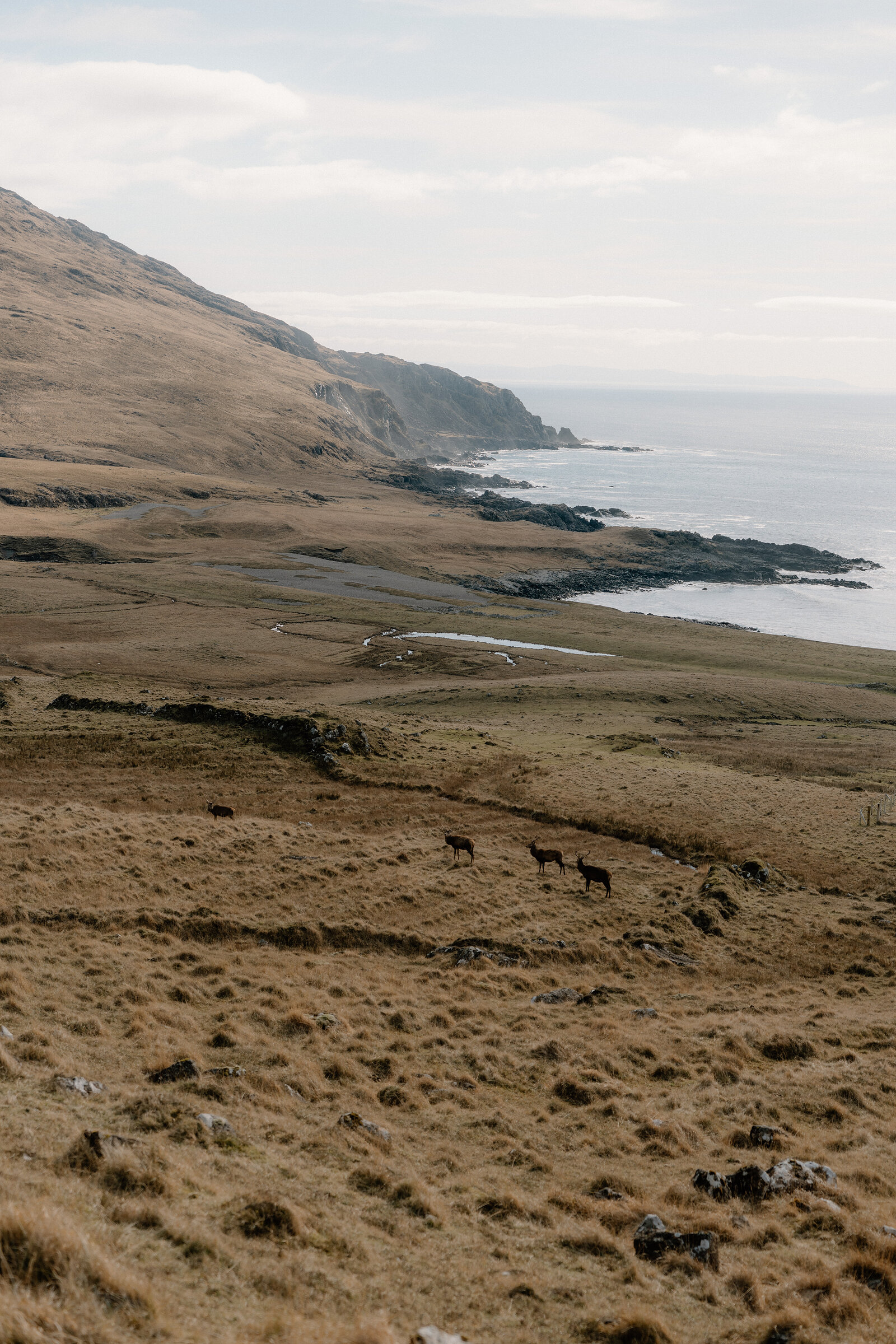 A small loch sits amid forested hills overlooking the sea on the Isle of Rum.