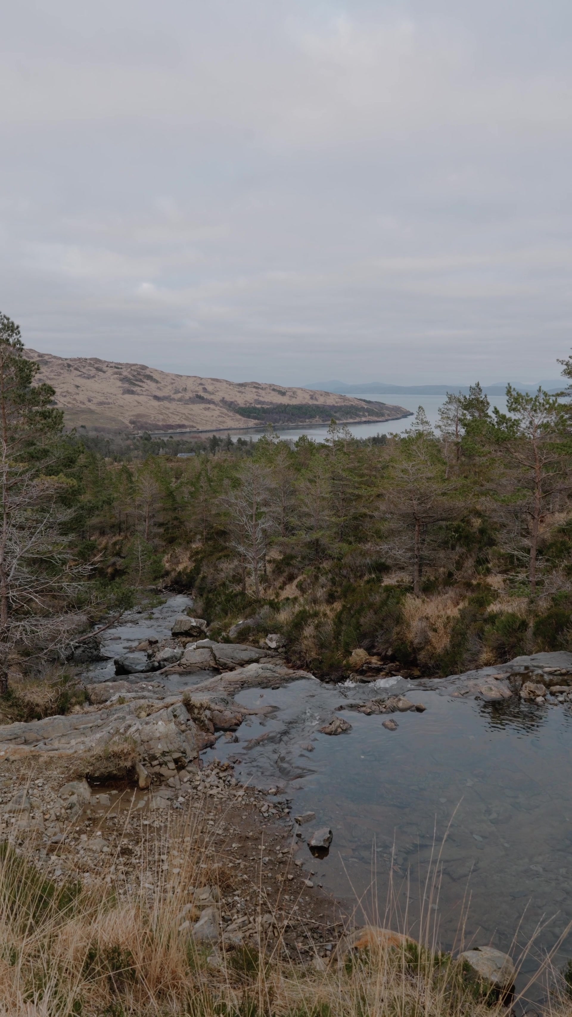 A rocky burn threading through pine woodland toward a loch and hills