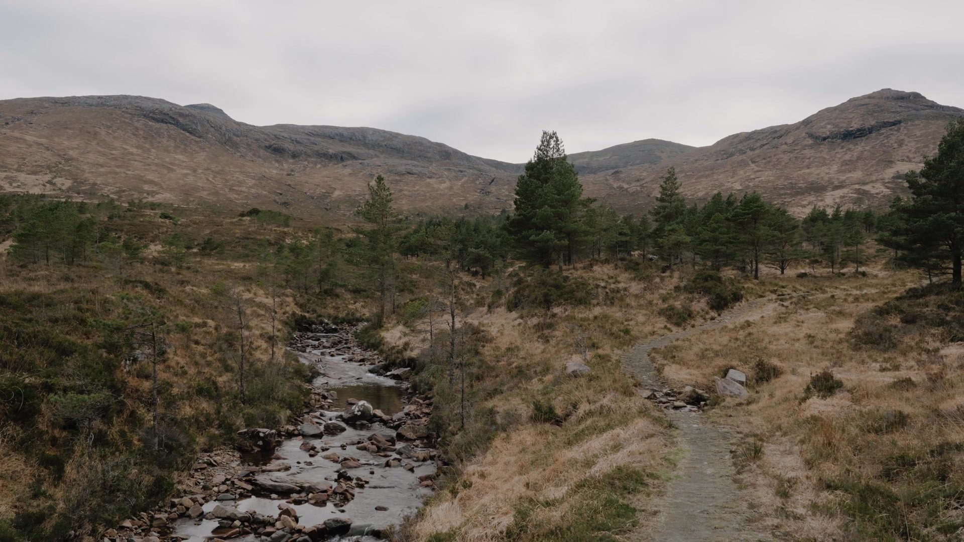 A gravel path follows a rocky burn through pine woodland toward open moorland hills.