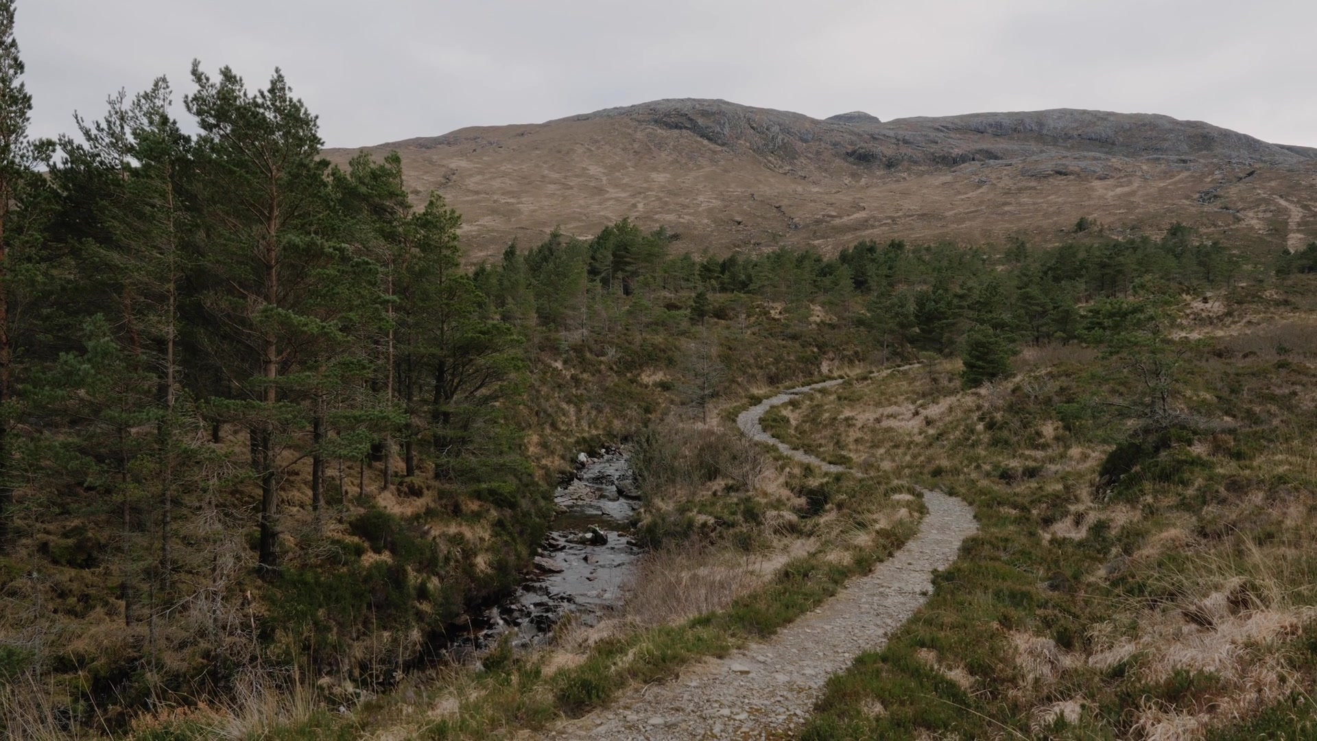 A gravel path follows a rocky burn through pine woodland below open moorland hills.
