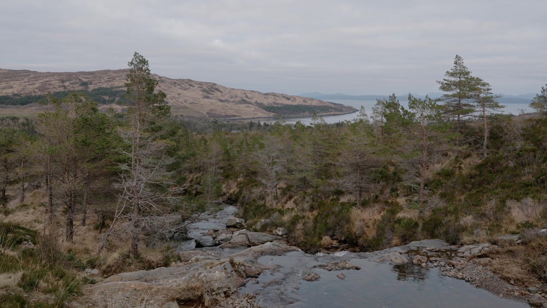 A rocky burn winds through pine woodland below bare hills, a loch visible in the distance.