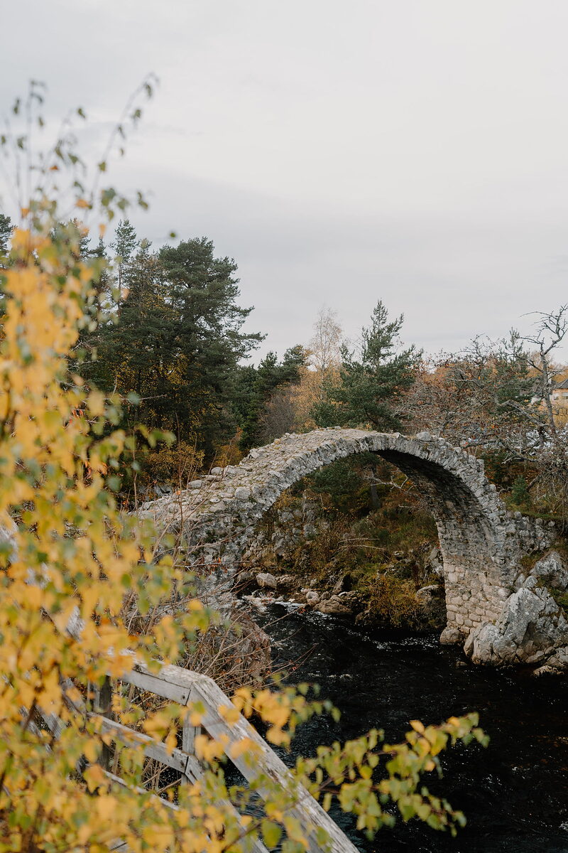 A walk from Boat of Garten to Loch Garten