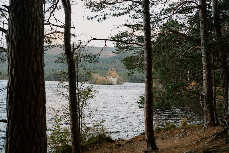 A ruined castle stands on a small wooded island in the middle of a loch, framed between pine trunks on the near shore.