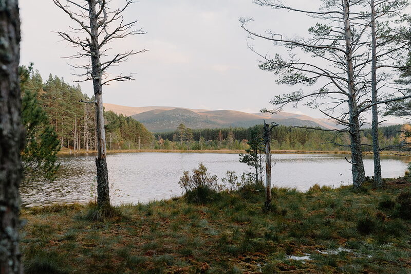 A calm loch is framed between the bare branches of two trees, wooded hills rising along the far shore.