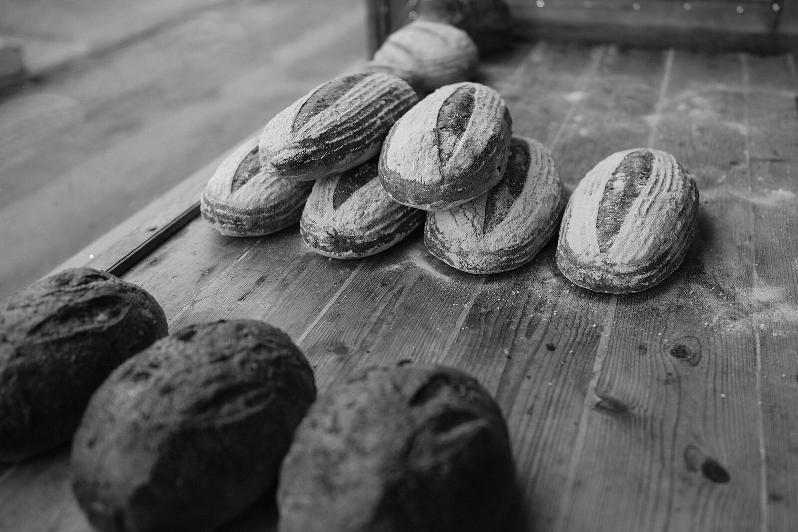 A monochrome photograph shows flour-dusted sourdough loaves arranged on a wooden counter.