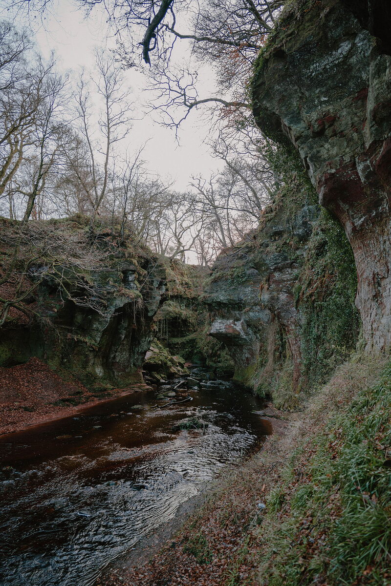 A dark river winds beneath ivy-clad rock walls in a narrow wooded gorge, bare tree branches arching overhead.