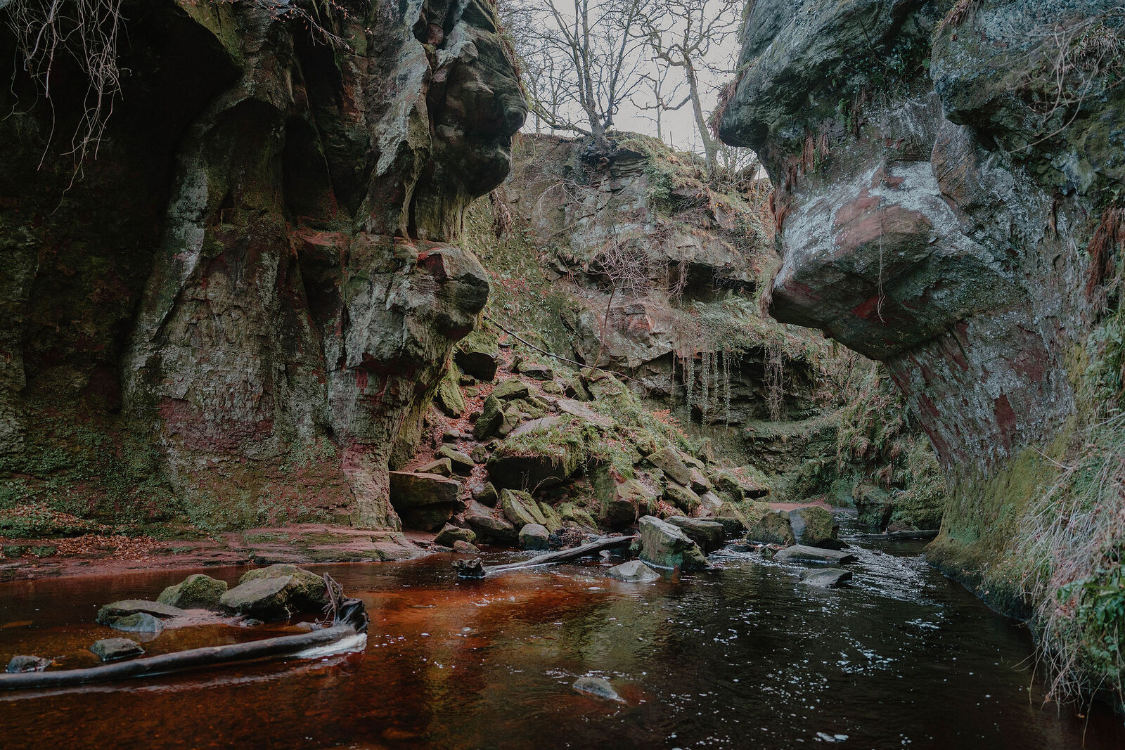 A dark river winds between moss-covered rock overhangs in a wooded gorge, bare branches reaching across from either side.