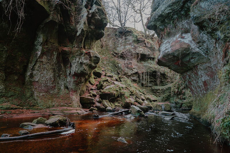 A dark river winds between moss-covered rock overhangs in a wooded gorge, bare branches reaching across from either side.