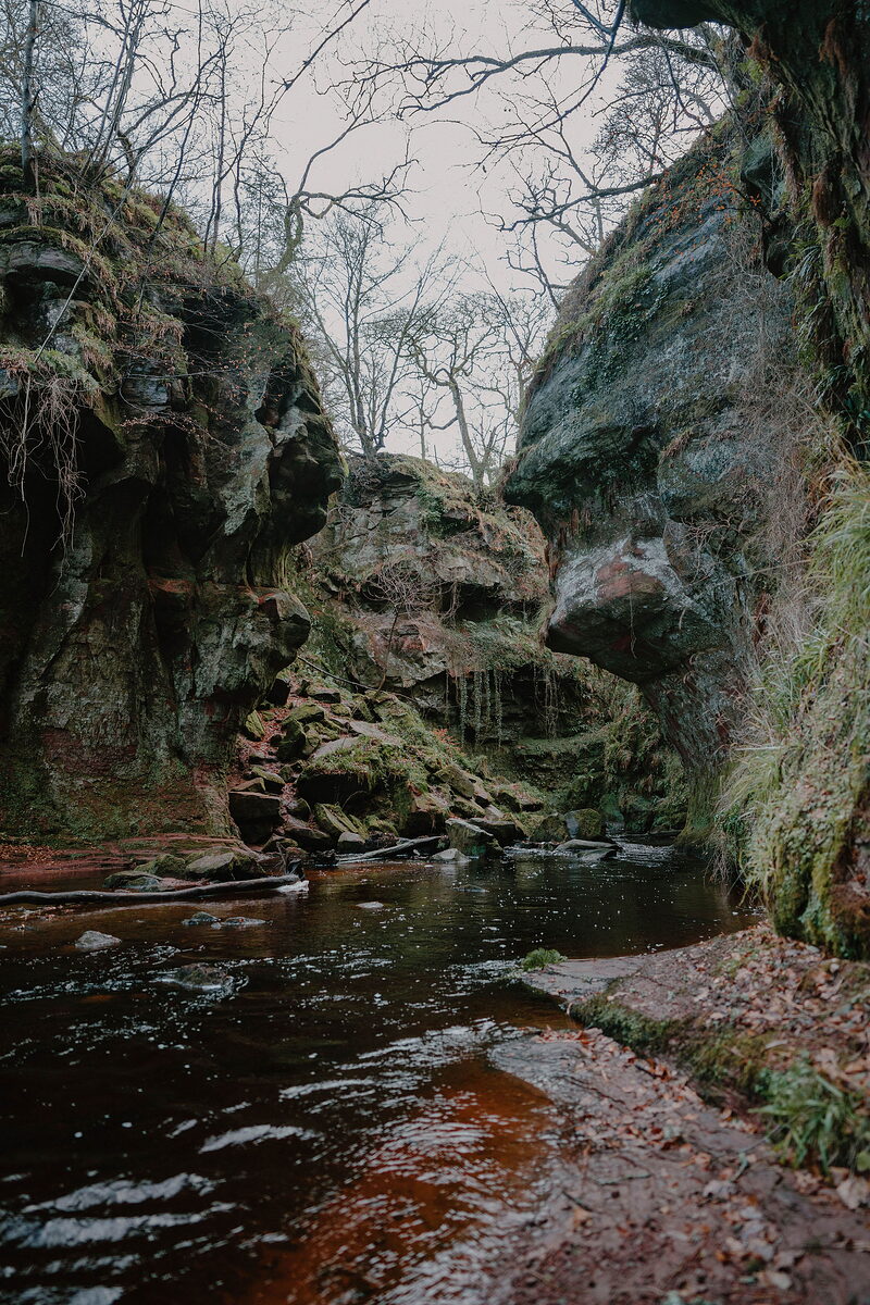 A dark river winds beneath moss-covered rock overhangs in a narrow gorge, bare trees rising against a misty sky.