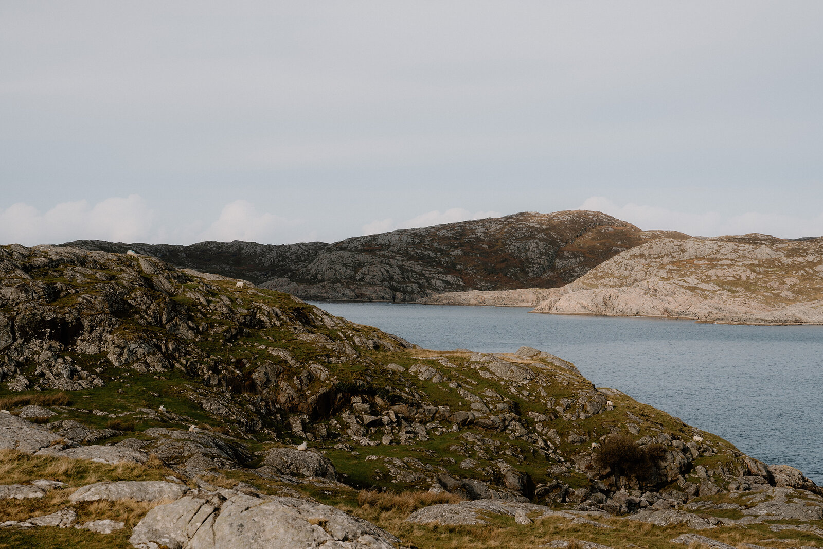 A rocky headland bordering a sea loch, hills rising across the water under a hazy sky