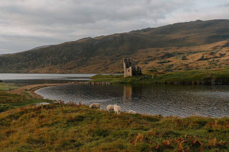 Assynt