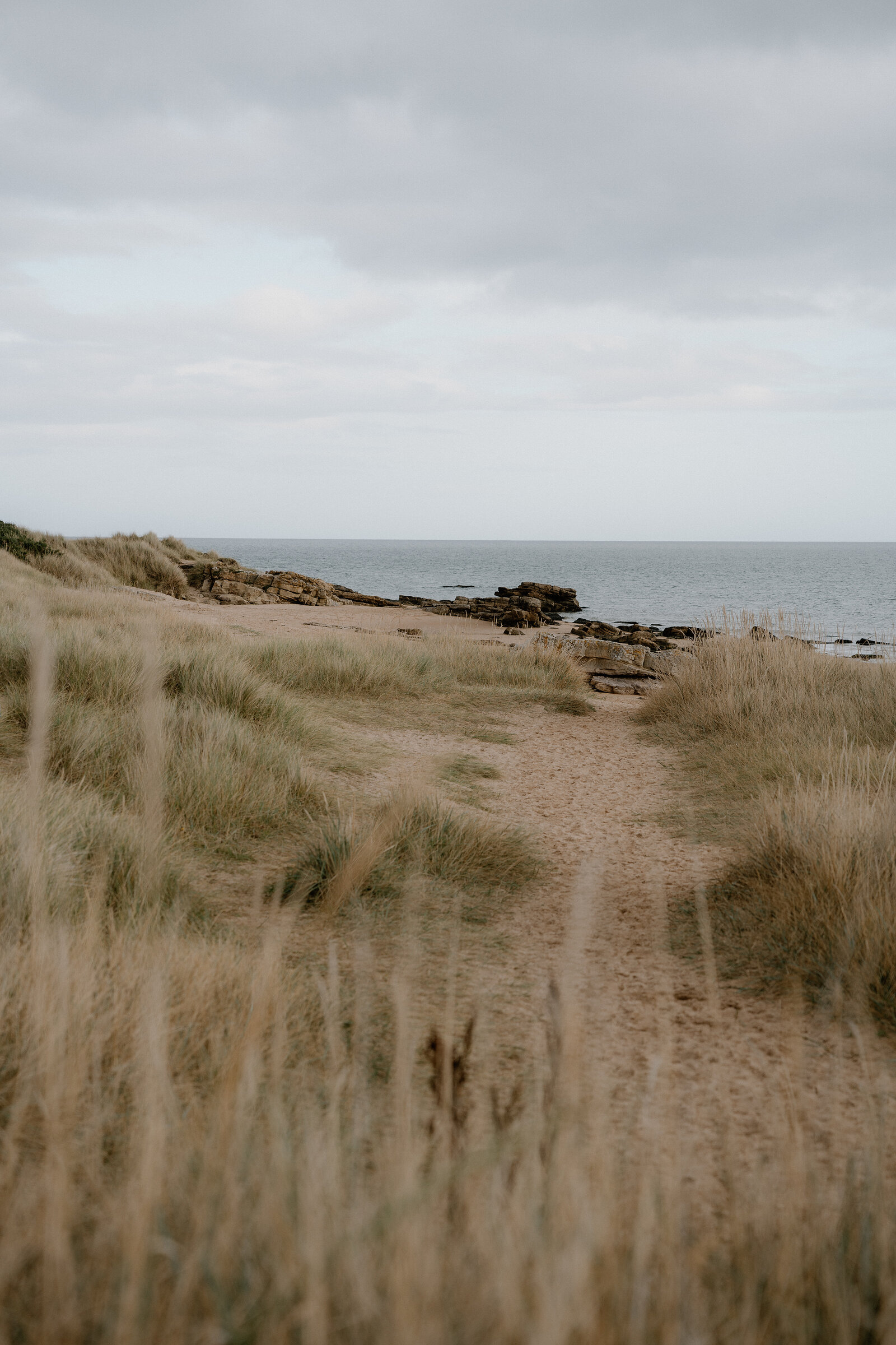 A sandy path winds through dune grass toward a rocky beach.
