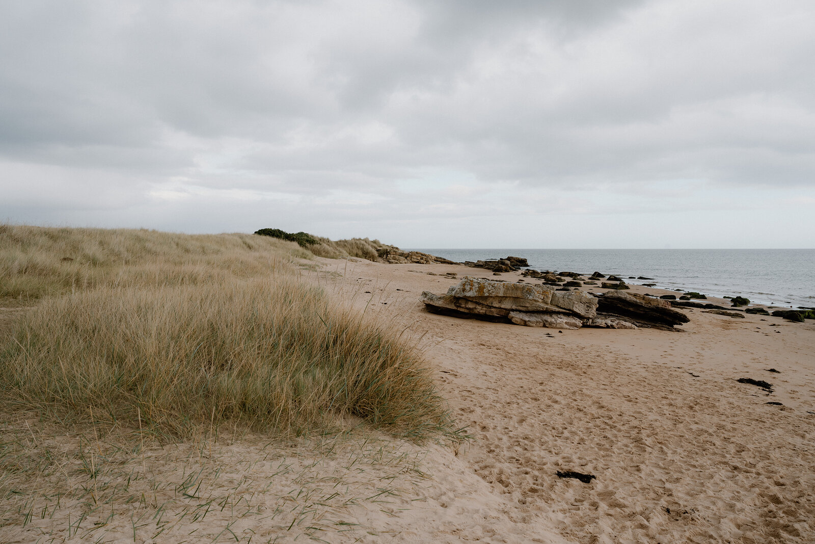 Weathered rock and driftwood mark a quiet stretch of dune-backed beach.