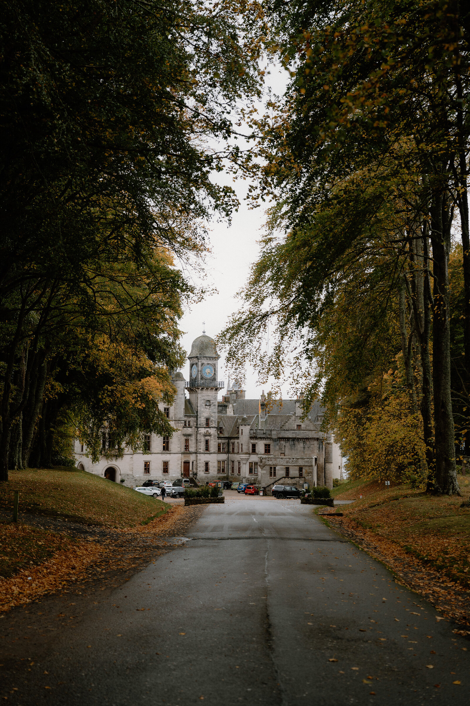 A grand clock-towered mansion stands at the end of a tree-lined avenue lined with parked cars.
