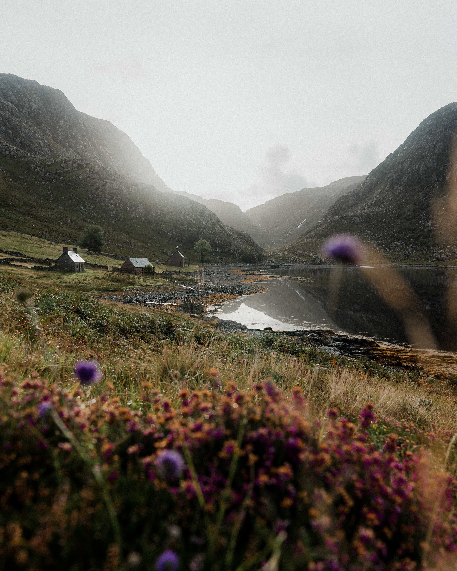 A scattering of stone cottages beside a loch in a misty glen, purple thistles blooming in the foreground.