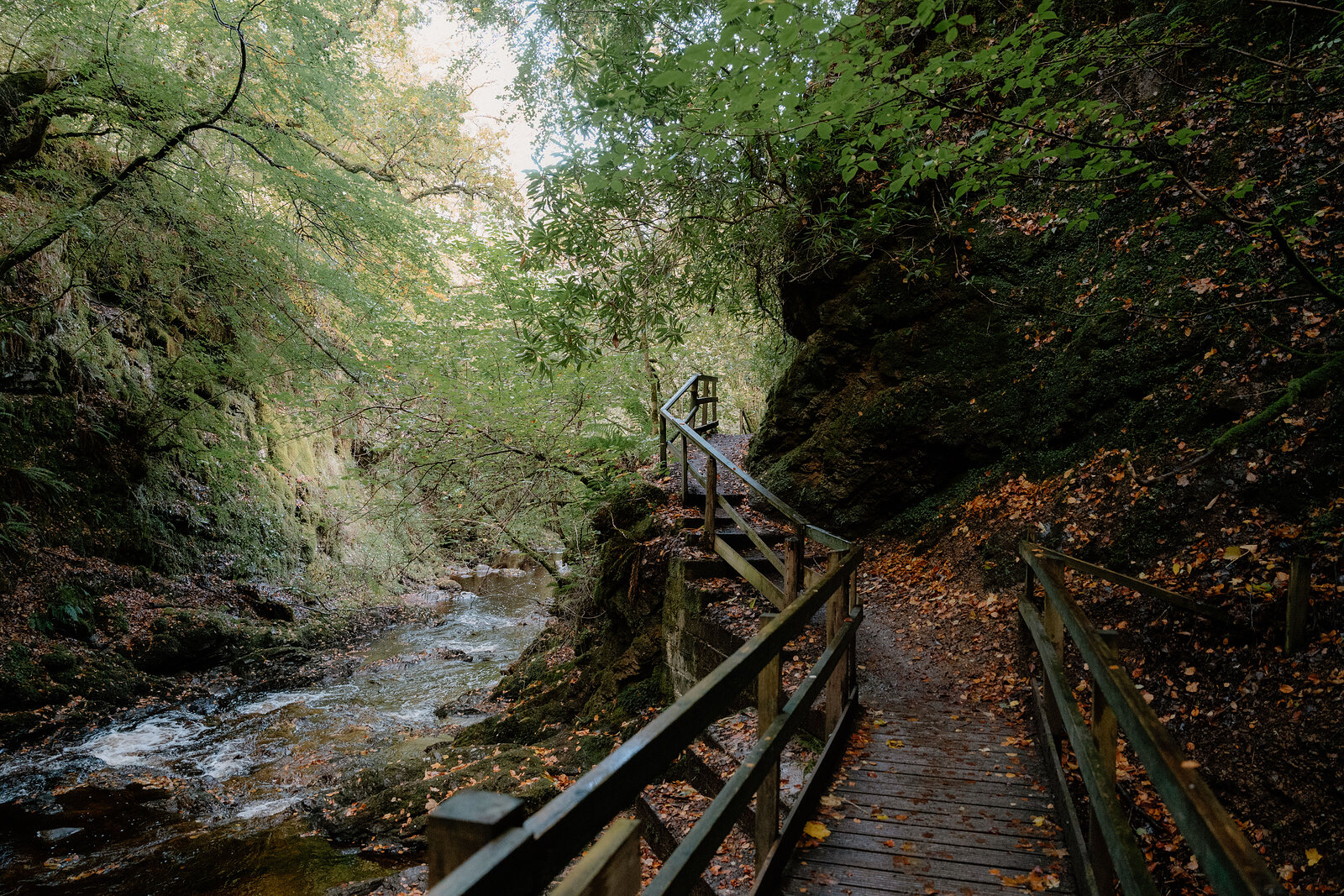 A timber boardwalk winding through a wooded gorge at the Big Burn gorge at Golspie, a burn tumbling over rocks below.