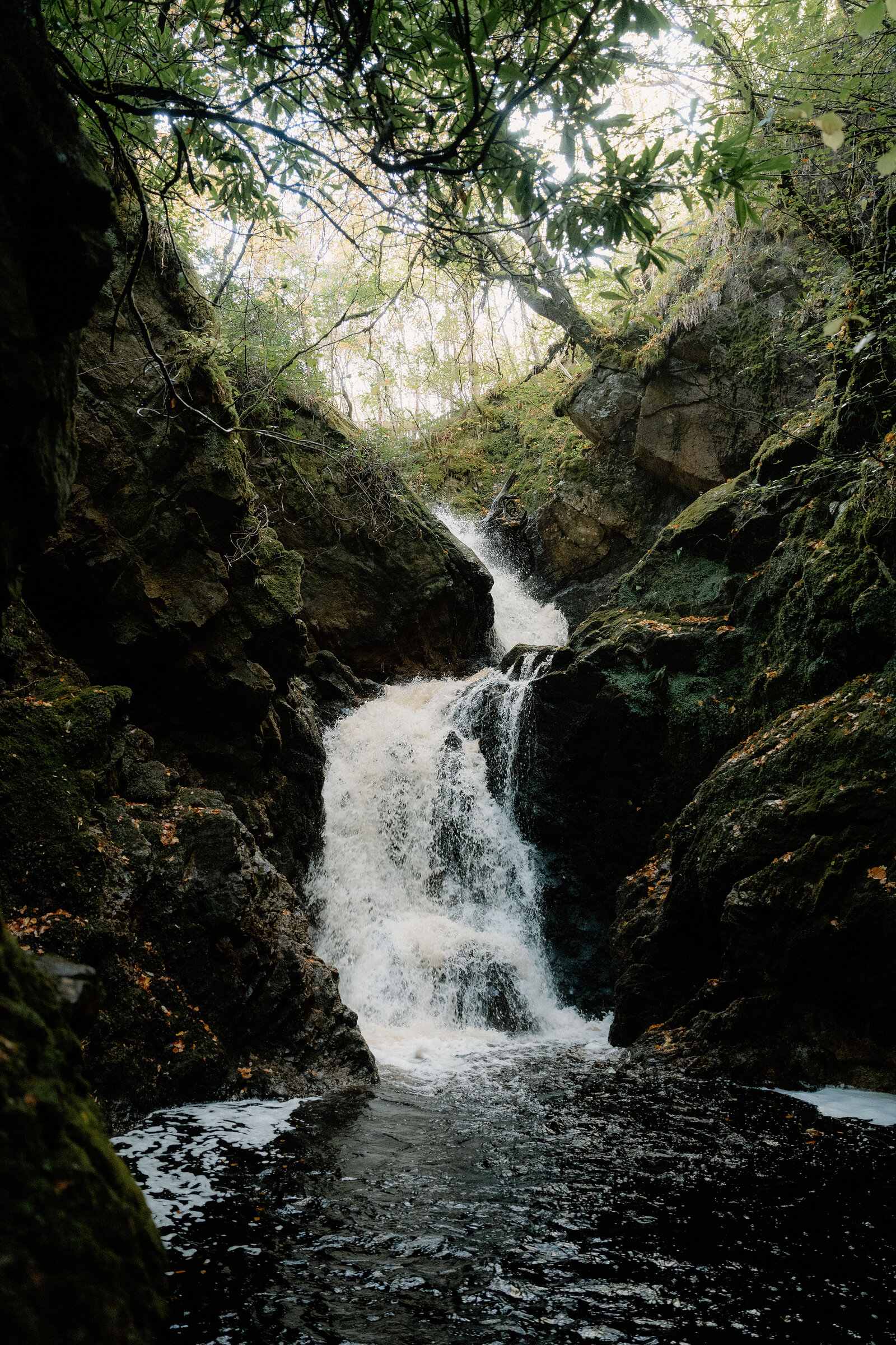 A waterfall tumbling over mossy rock in a wooded gorge at the Big Burn gorge at Golspie.