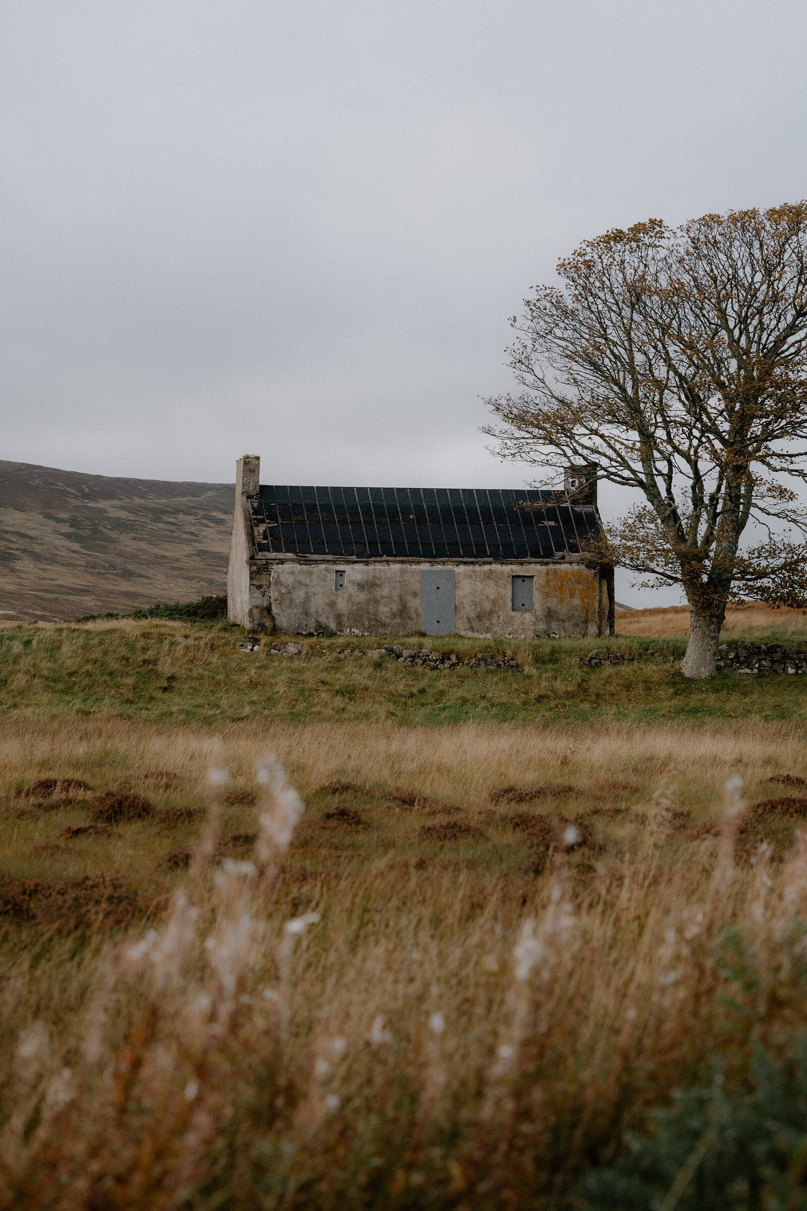 A ruined stone cottage on open moorland, a lone tree standing beside it.