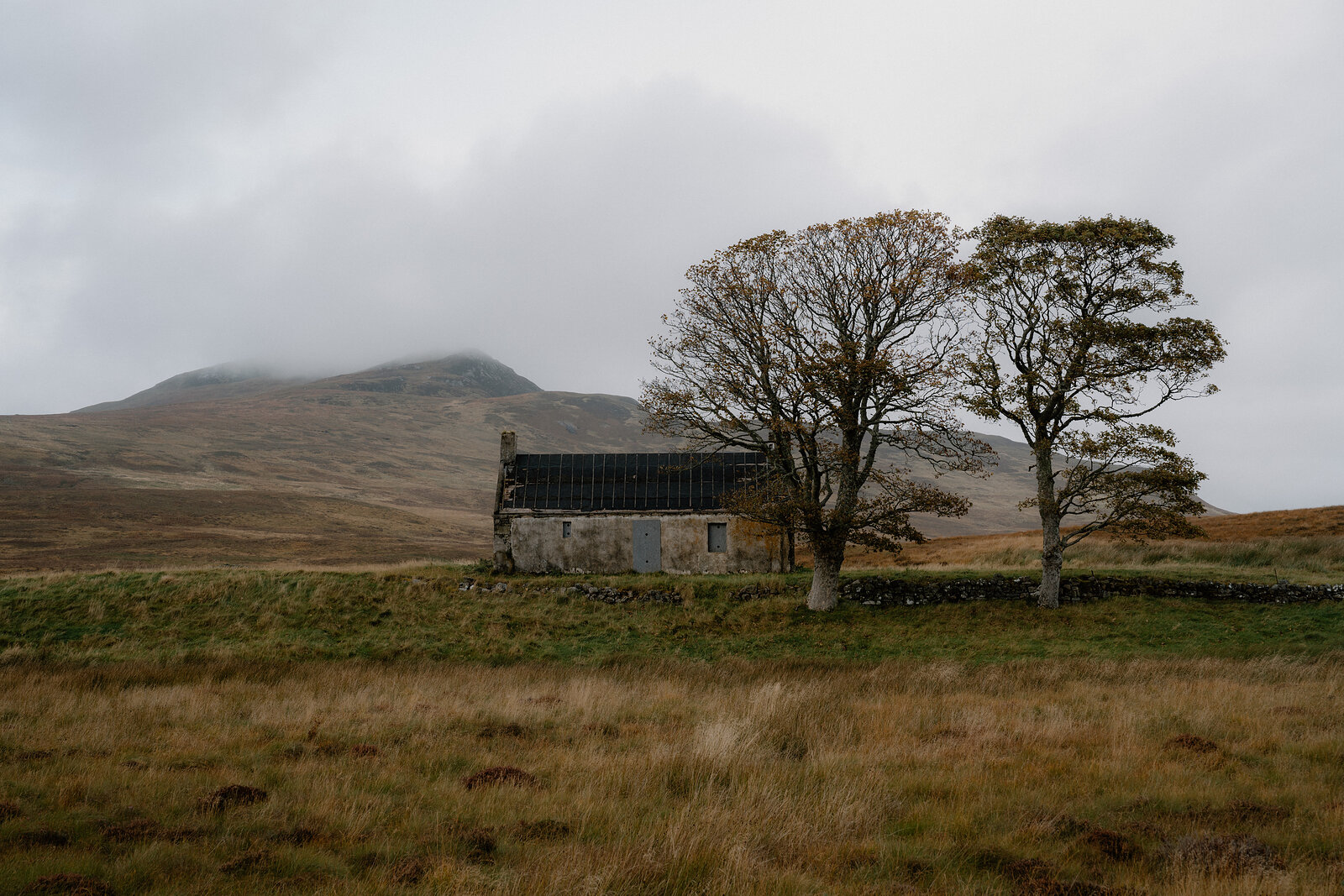 A ruined stone cottage between two trees on misty moorland.