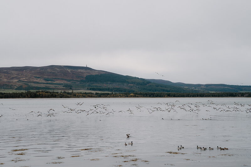 Ben Bhraggie, above Golspie