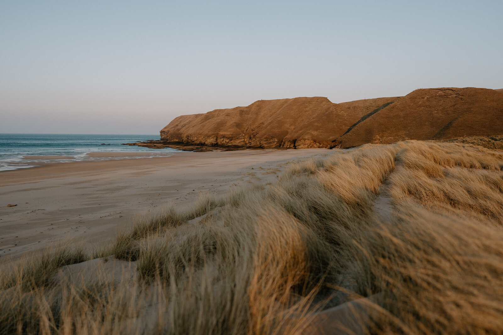 Golden light catches dune grass above a sandy beach and cliffs.