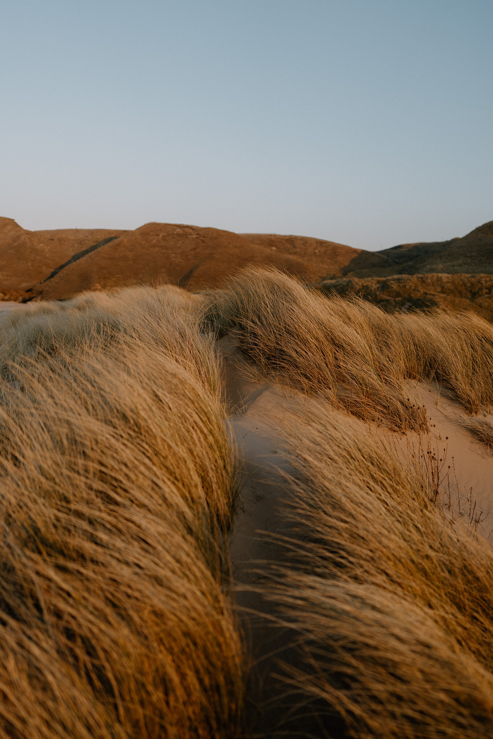 Golden light catches cliffs above a curving sandy beach.