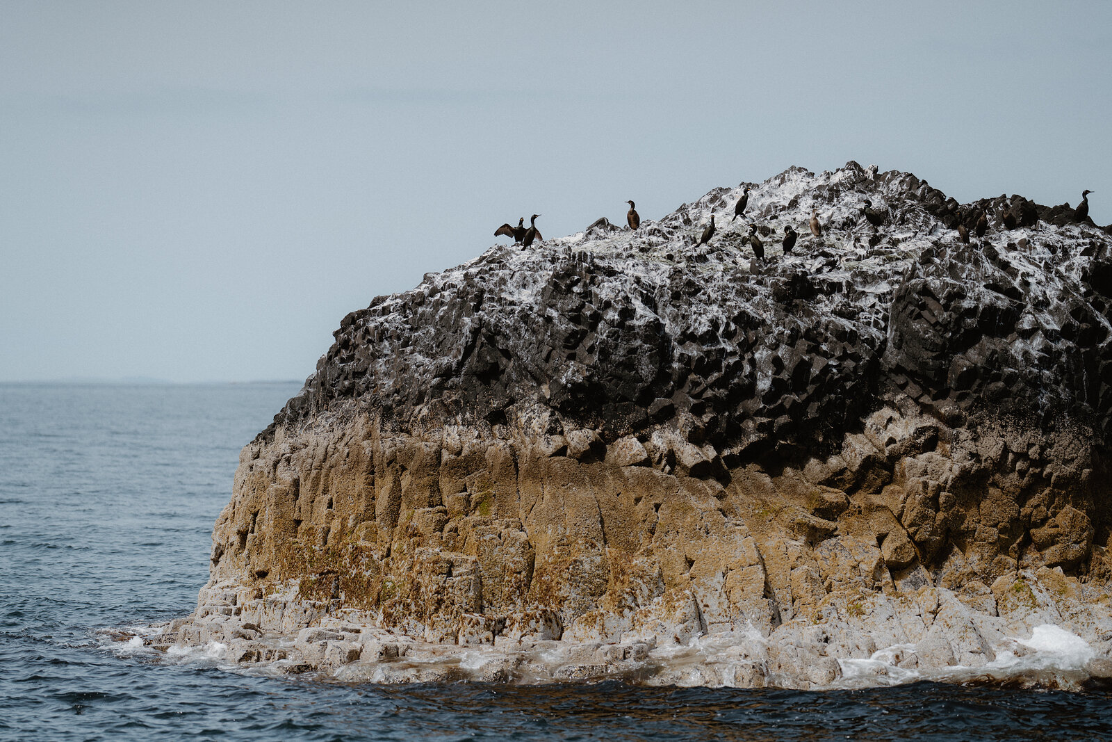 A colony of dark seabirds crowds the white-streaked top of a rocky sea stack, waves breaking at its base.