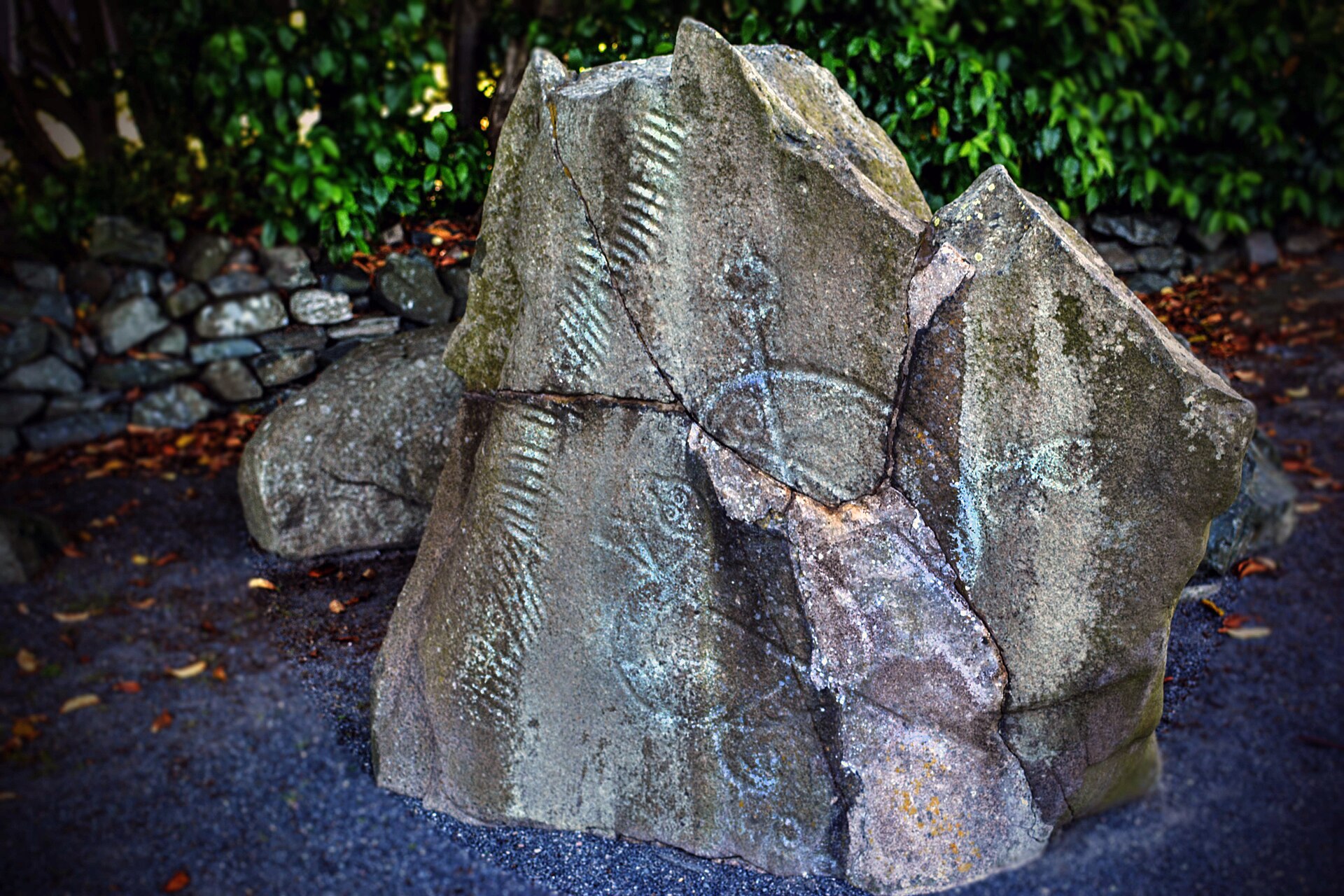 The Brandsbutt Stone, pieced back together, its symbols and line of Ogham on the grey whinstone.