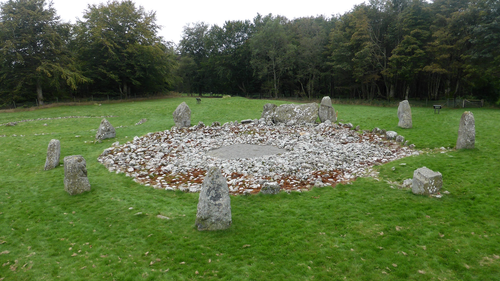 The ring of standing stones at Loanhead of Daviot round its low central cairn, trees behind.