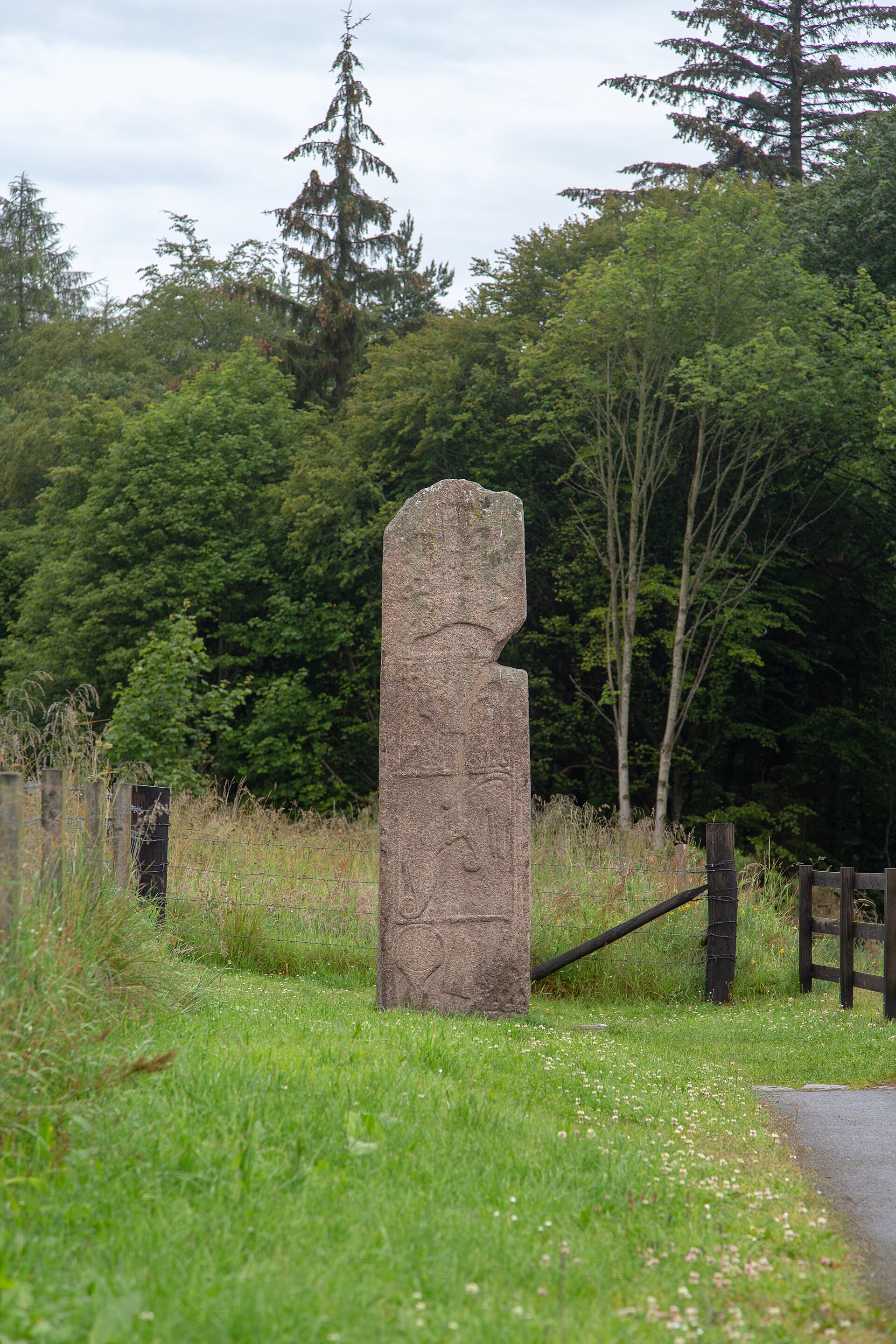 The tall red granite Maiden Stone under Bennachie, its carving worn by weather.