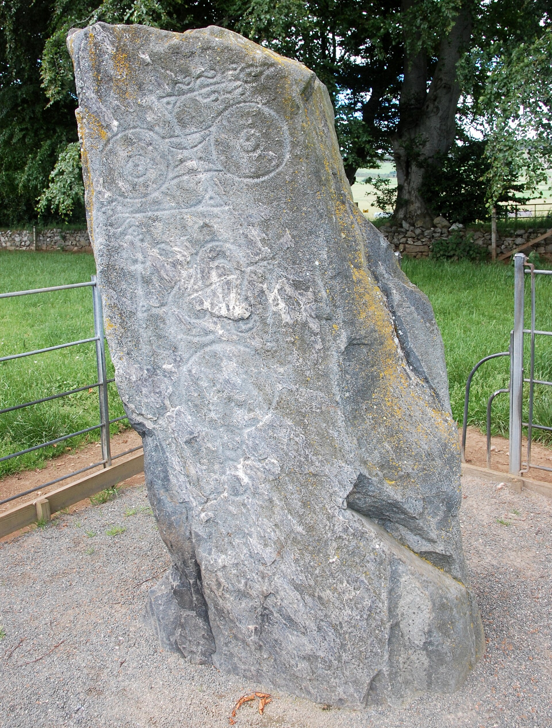The Picardy Stone standing in its field near Insch, a rough whinstone slab.