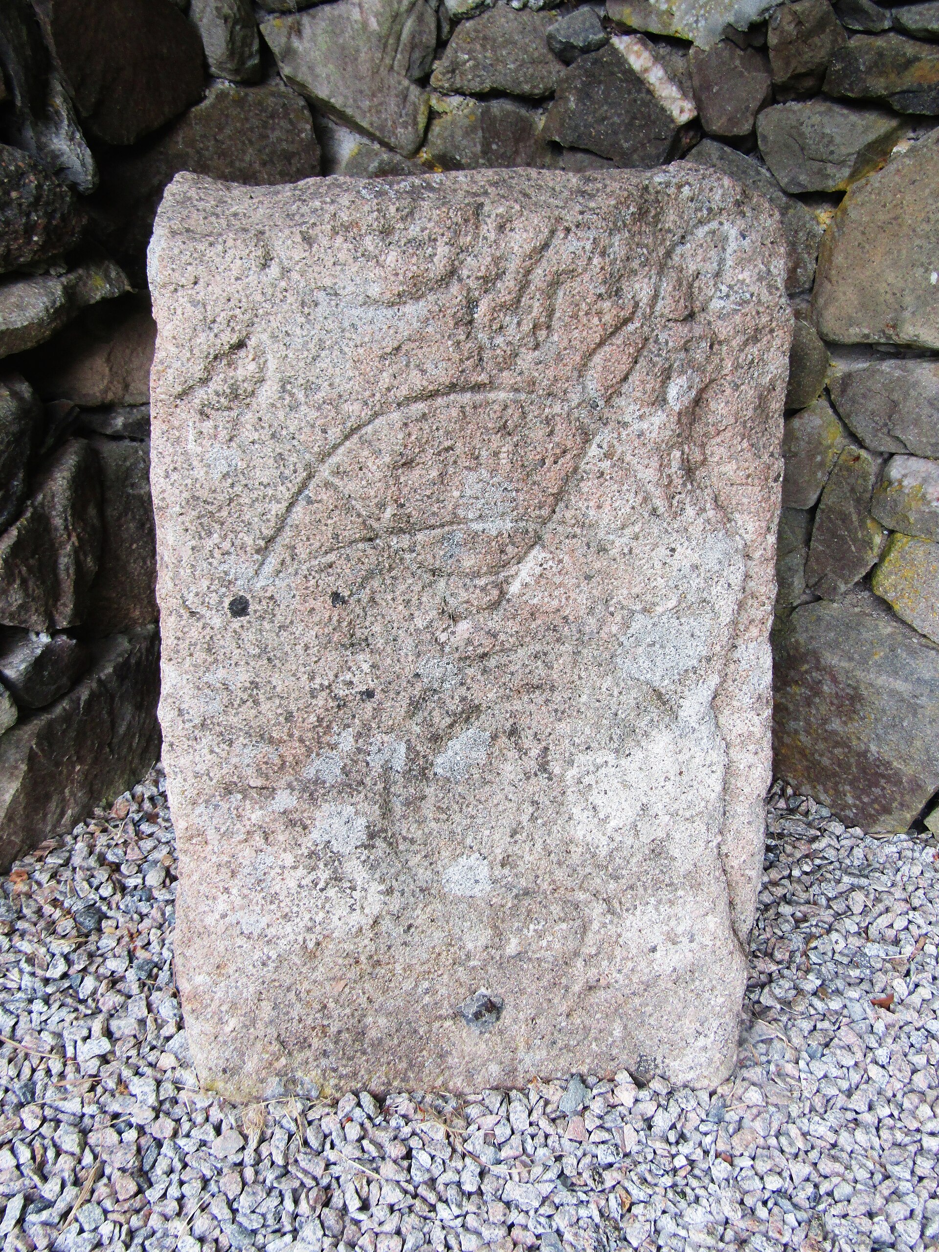 A Pictish stone at Rhynie, its incised symbols faint on the pink granite.