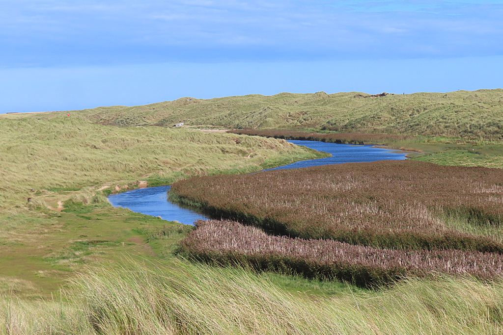 The Water of Philorth winding through dunes and salt marsh to the sea.