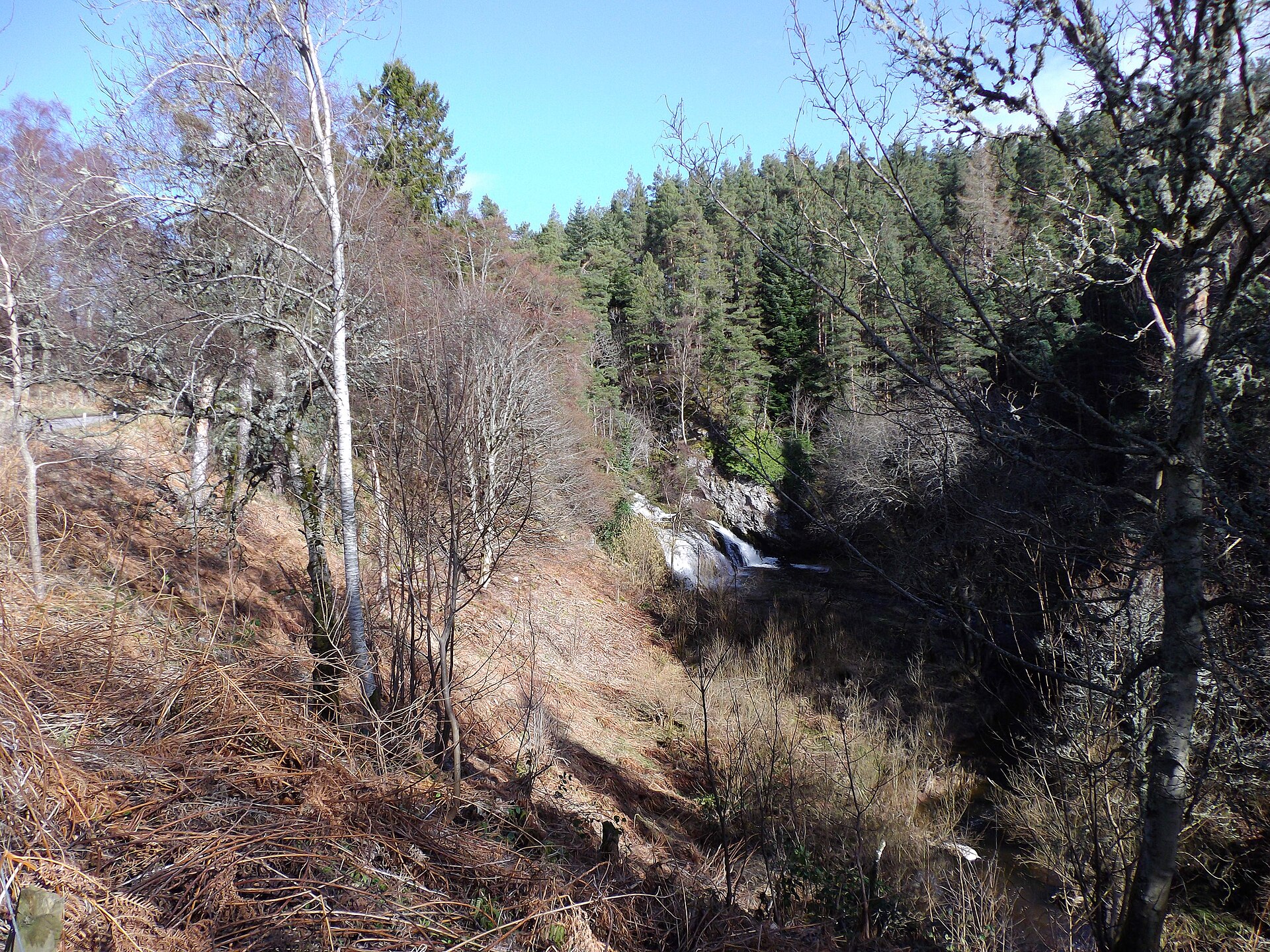 The Burn of Dess tumbling down its gorge among bare trees.