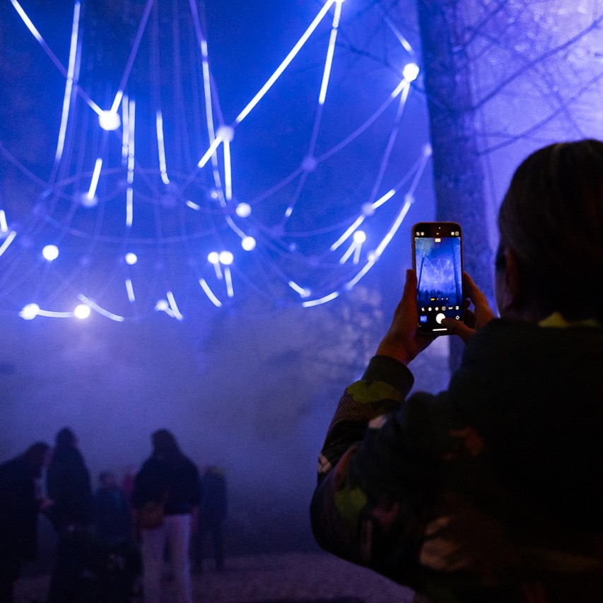 The Enchanted Forest 2026