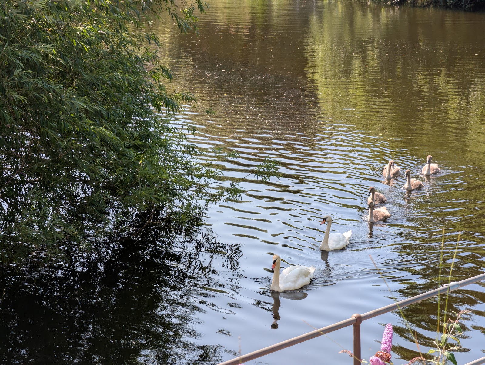 Water of Leith