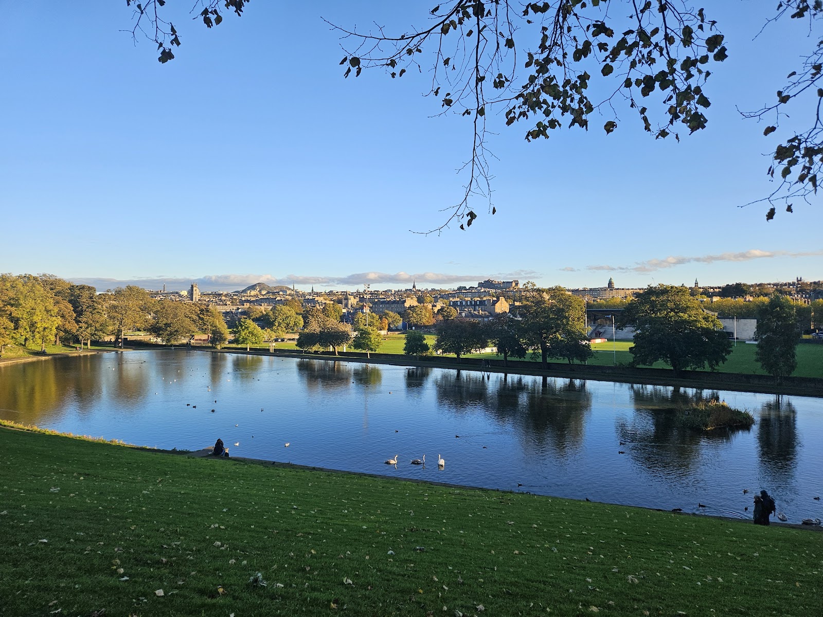 The pond in Inverleith Park with swans on the water and the Edinburgh skyline beyond the trees, under a clear blue sky.