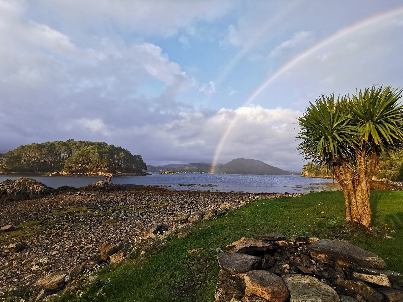 Rainbow arches over a loch with palm trees and a pebble shore